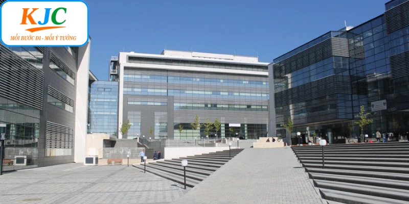 Tạo nền móng cho một hệ sinh thái giải trí thống nhất toàn cầu